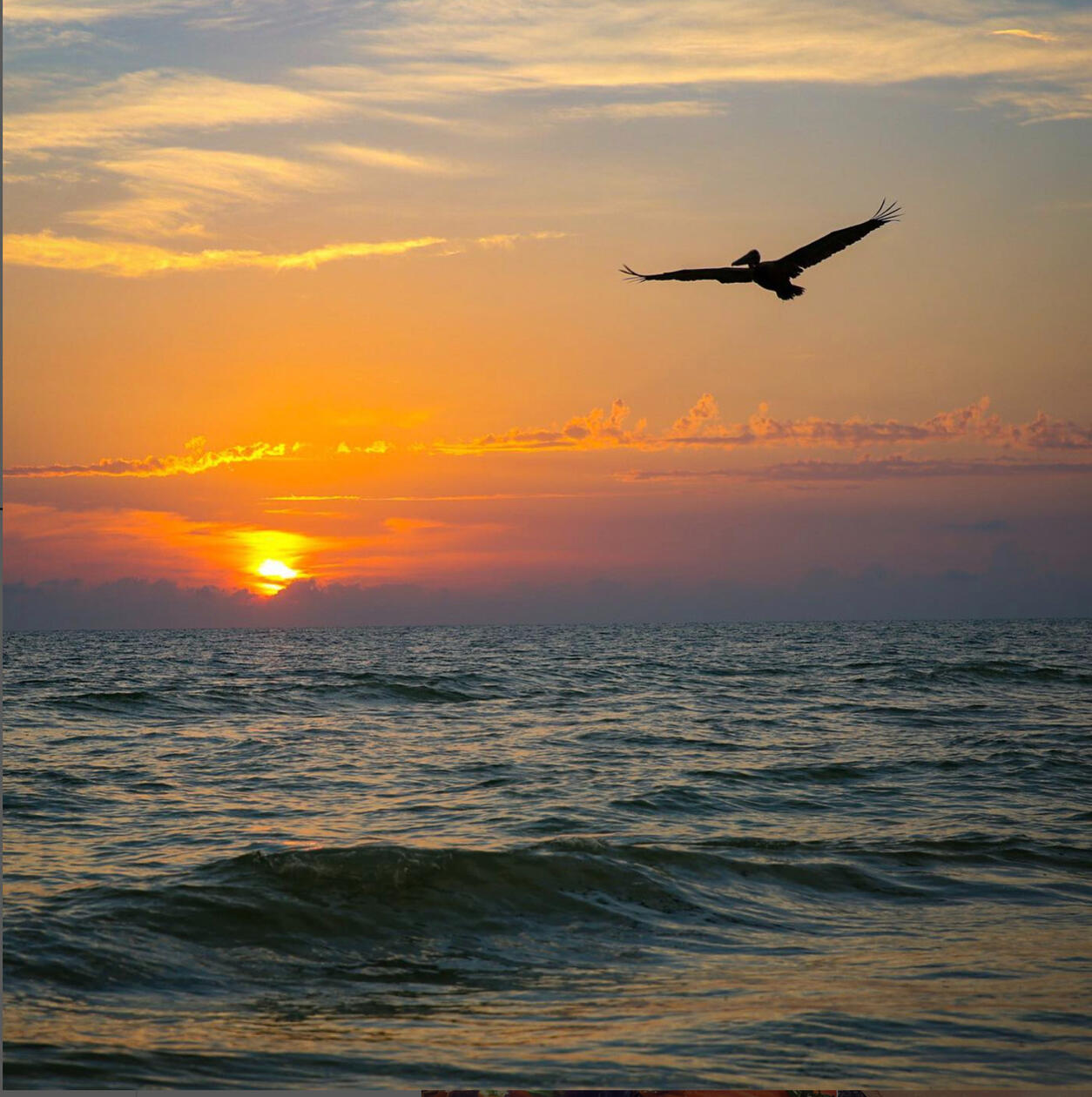 Canon EOS 5D Mark III 1/400 sec. f/5.6 ISO 200