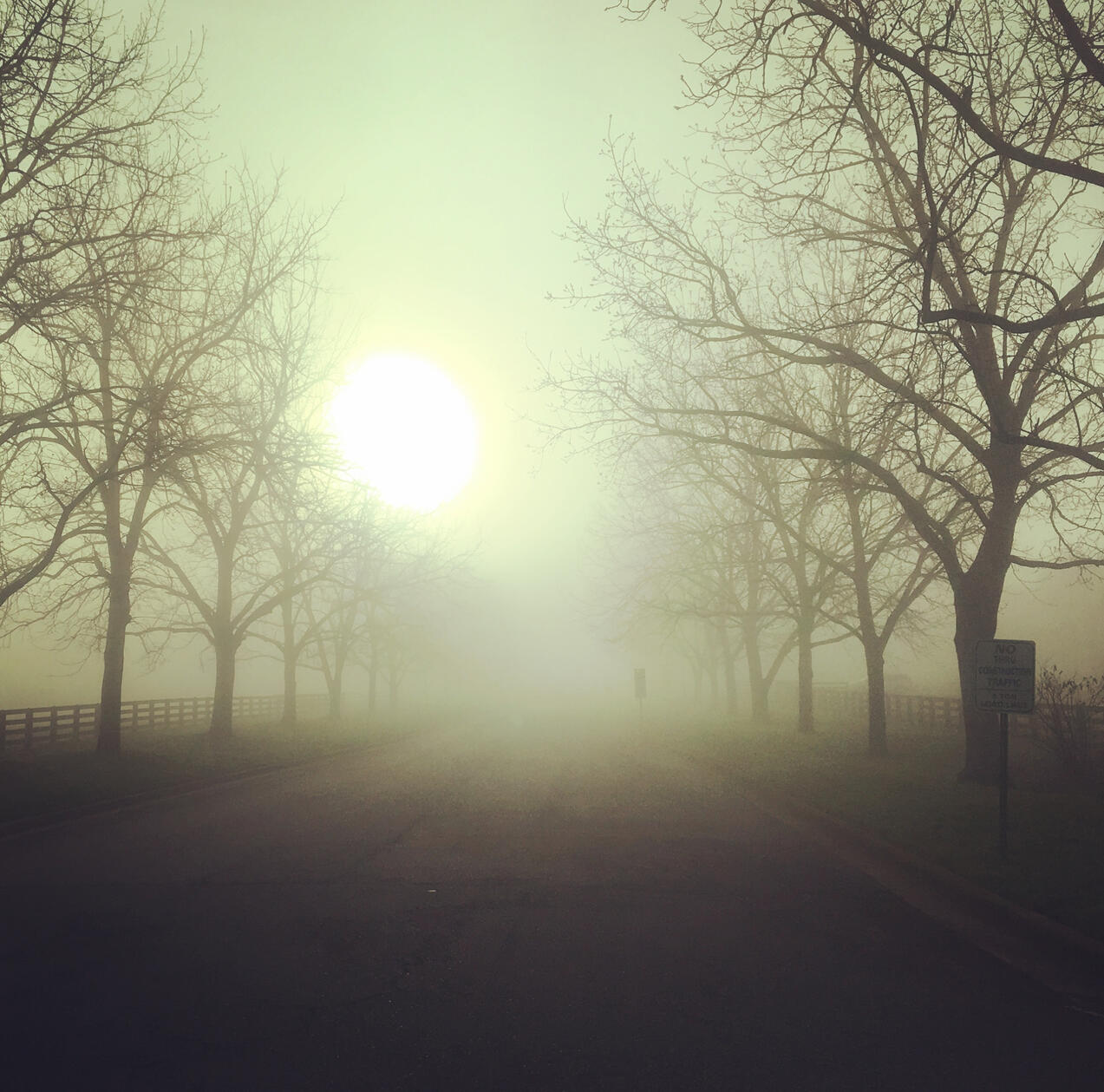 Foggy Road